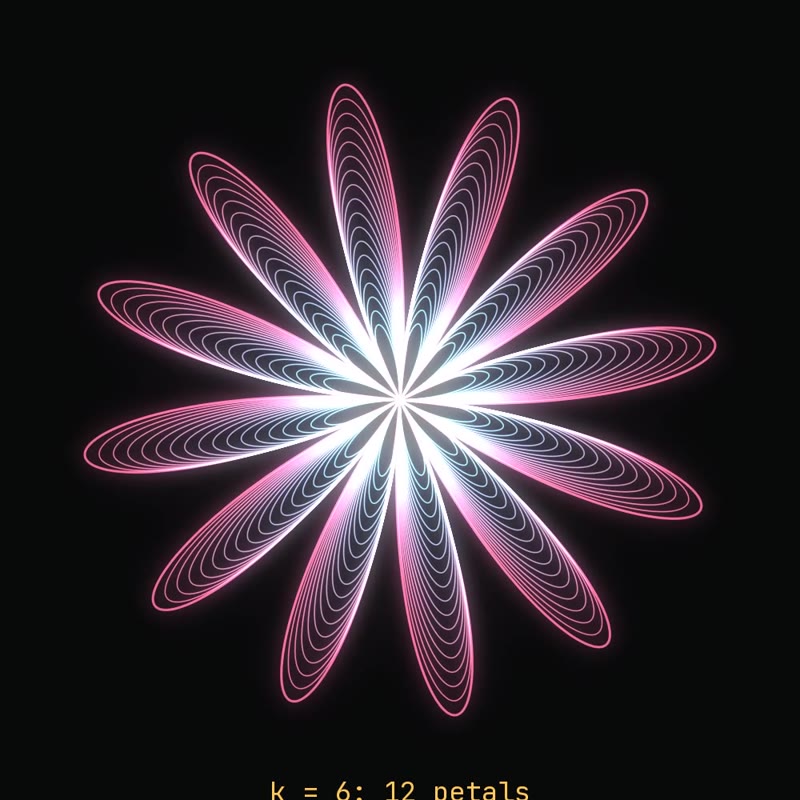 Math gives you a flower